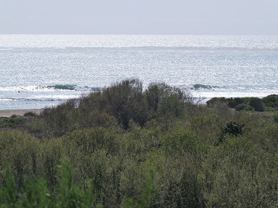 Trestles1