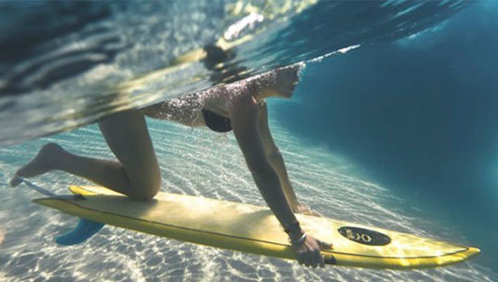 pico-surf-pato