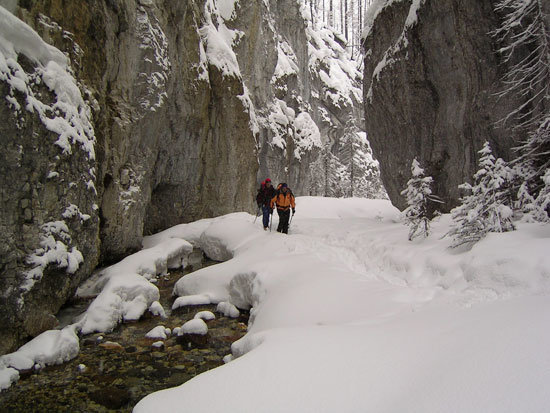 4-Entrada-Hafner
