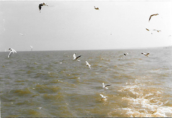 balaton-8