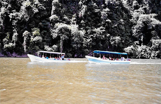 Izabal-4