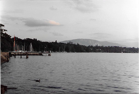 leman-7