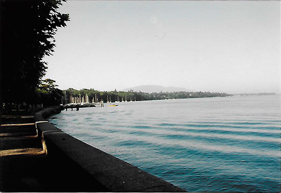 leman-8