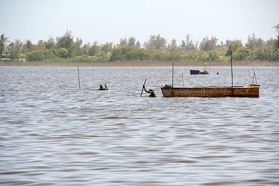 rosa_senegal4