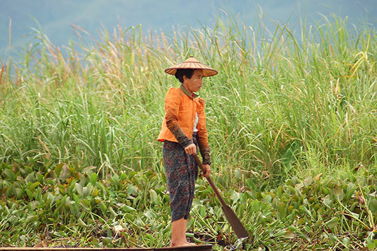 inle8
