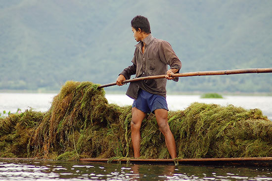 inle10