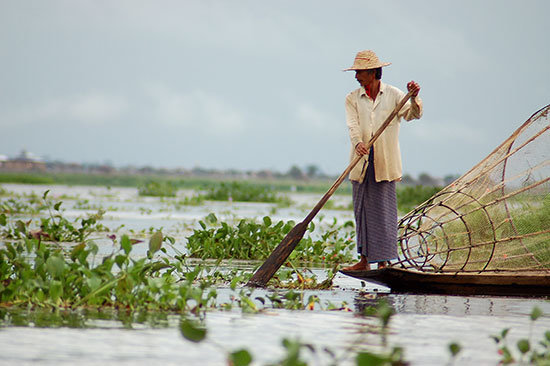 inle11