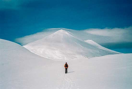 life-in-white-1