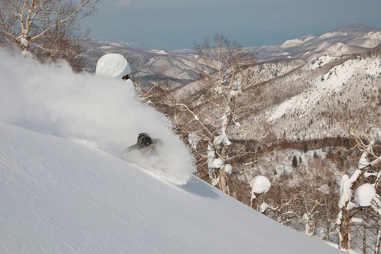 life-in-white-6