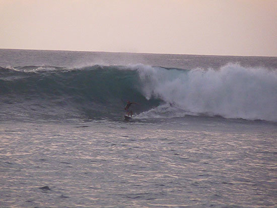 NACHETE.-Waime-Bay-Hawaii