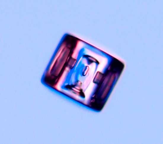 copo-8