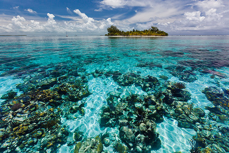 barrera-coral-belice