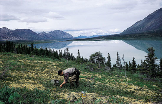 30-anos-soledad-montanas-alaska-6