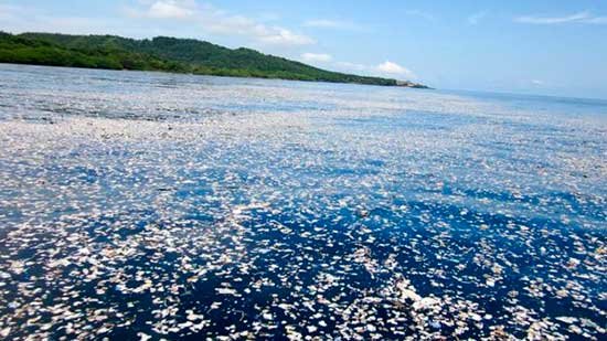 mar-plastico-guatemala-honduras-5