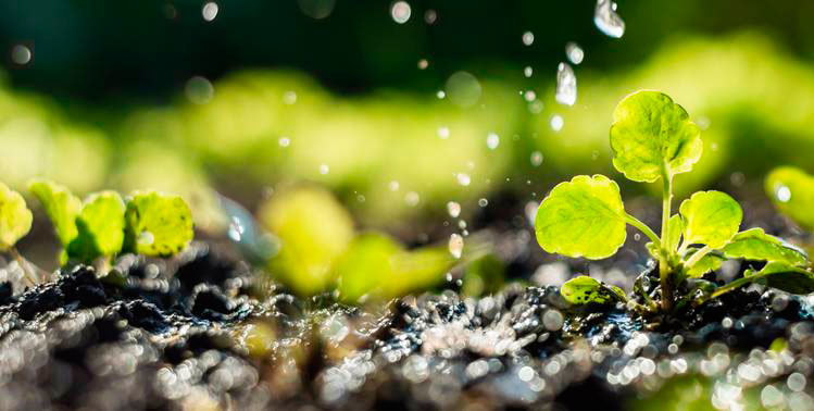 contaminacion-suelo-1
