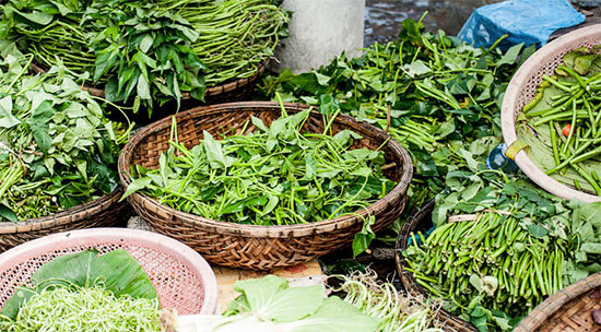 alimentos_locales-1