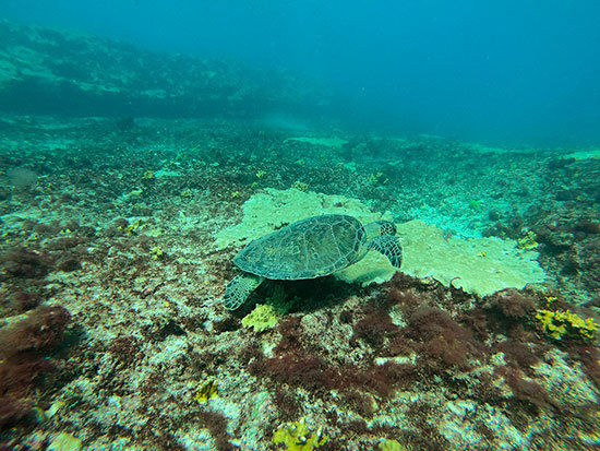 cabo-verde-1