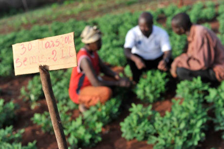 10-agroecologia-sistemas-alimentarios-sostenibles-2