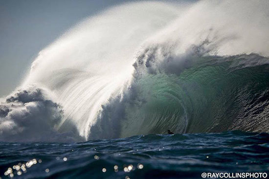 ray-collins-7