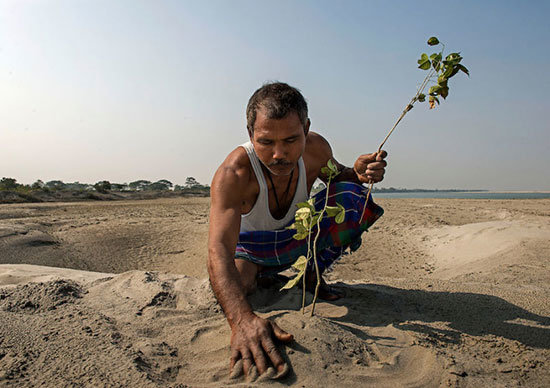 mulai-planting-a-new-tree-in-the-sand-mulai-pianta-una-nuovo-alberello-nella-sabbia-810x571