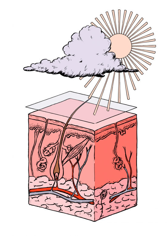 piel-radiacion-solar-640x905