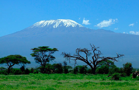 kilimanjaro