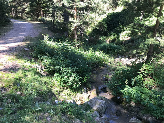 navacerrada-9