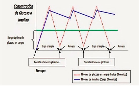 alimentacion-ecologica-10