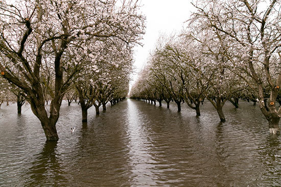 inundaciones-3