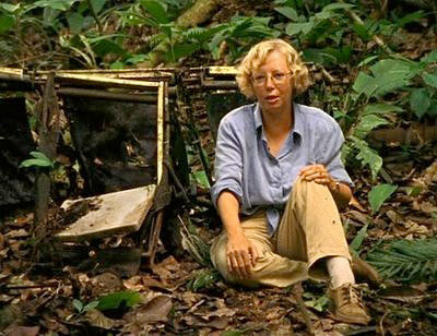 amazonas-5