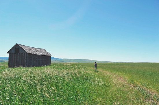 field-839827_640