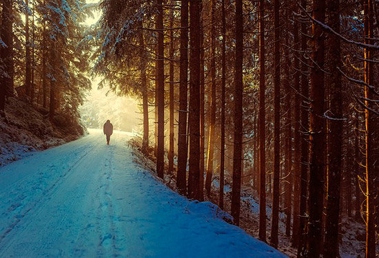 winter-1936638_640
