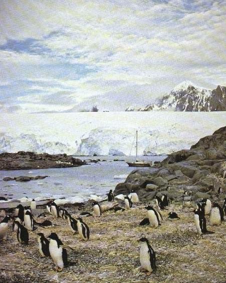 Lockroy