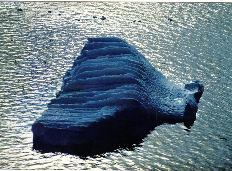 Iceberg_opt