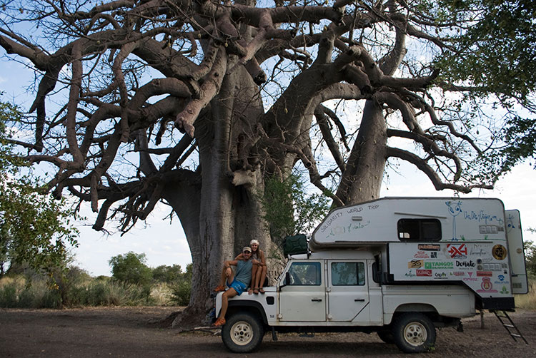Baobab,-Botsuana
