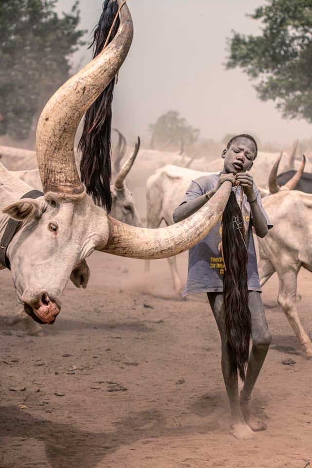 SSudan12