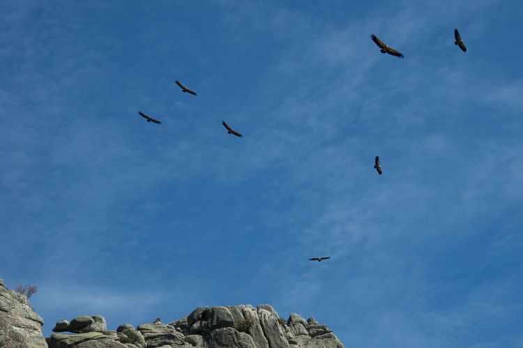 regulacion_escalada_guadarrama_2022_opt