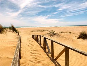 Cadiz-IV-300x227