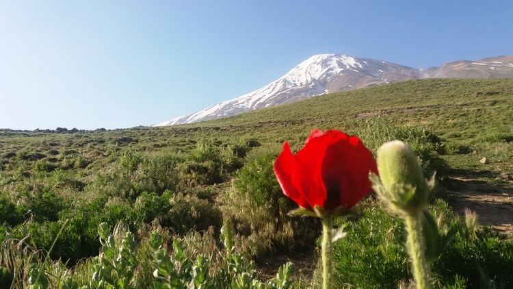 damavand3 (1)