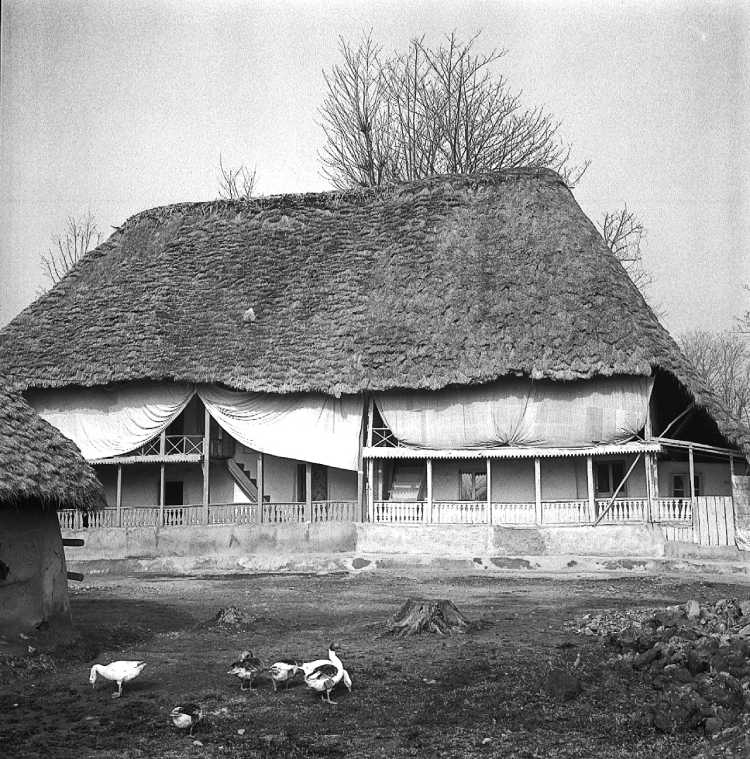 _casabonita (1)