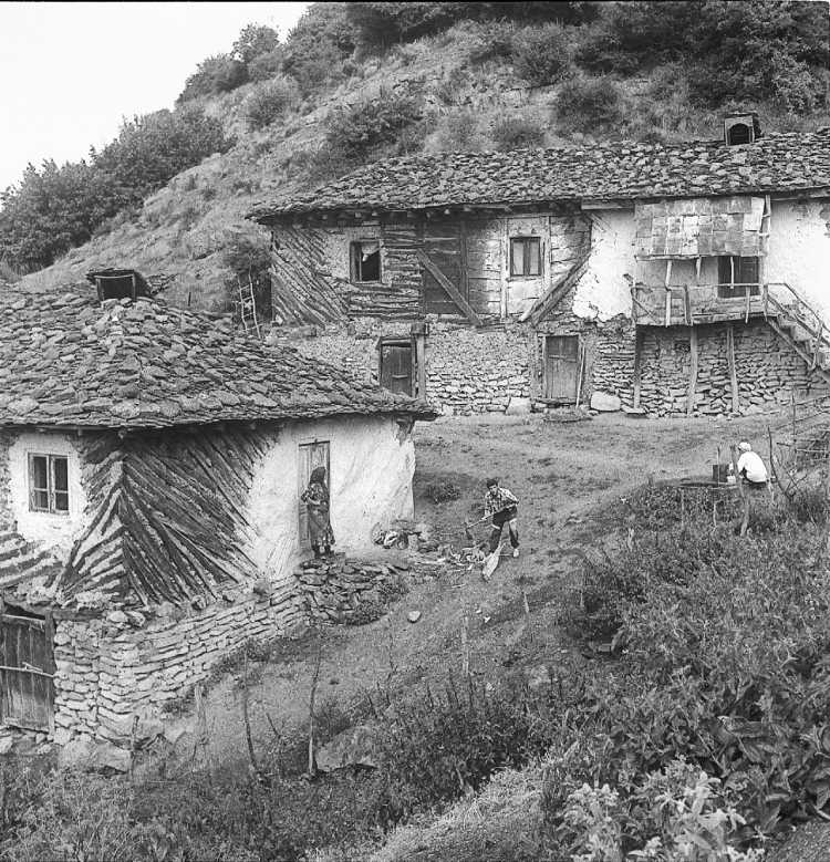 _casitas (1)