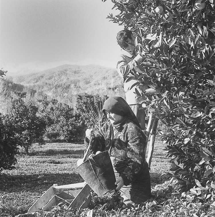_norte-iran34 (1)