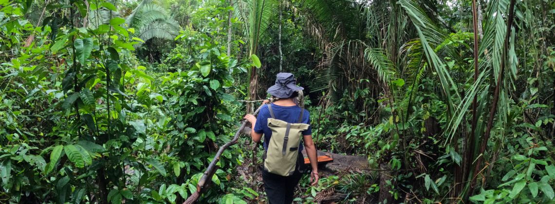 amazonas-1 (2)