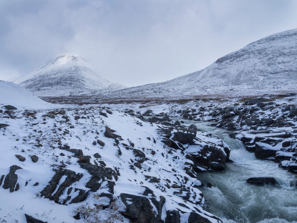 Sarek 2_0475 (1)