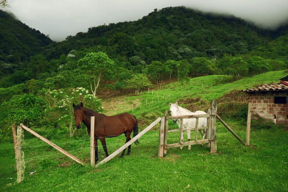 cascadas-rio-verde-colombia (10) (1)