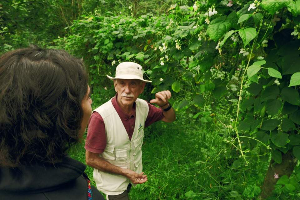 cascadas-rio-verde-colombia (8) (1)