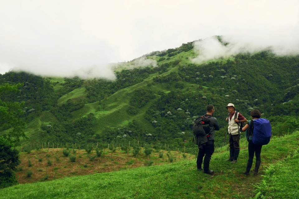 cascadas-rio-verde-colombia (14) (1)