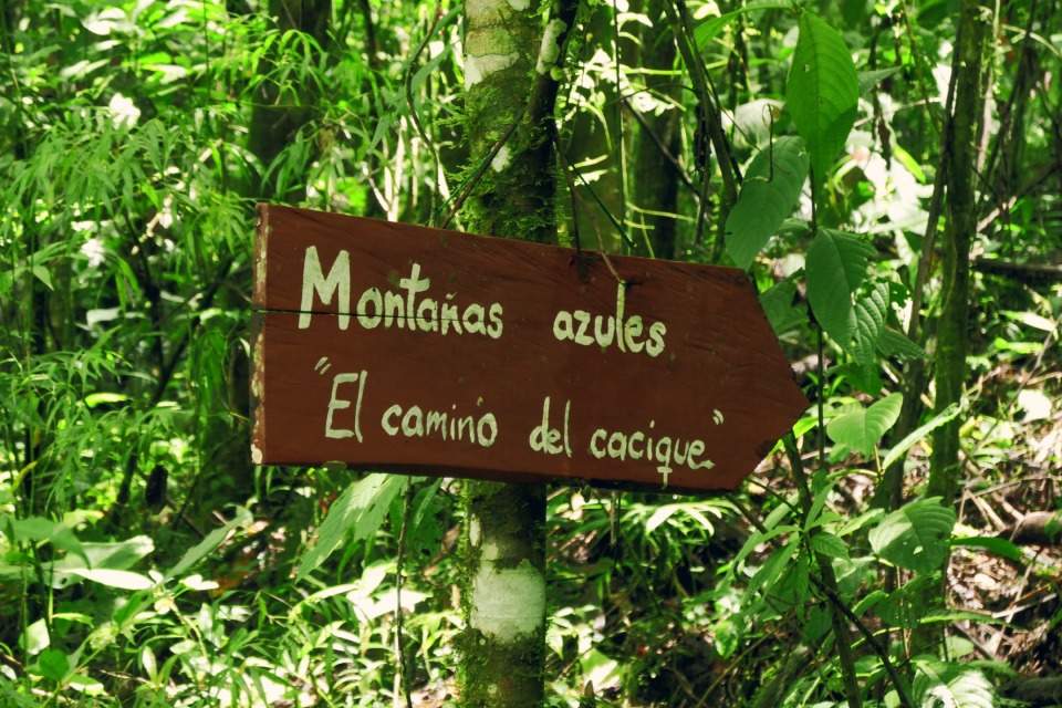 cascadas-rio-verde-colombia (12) (1)