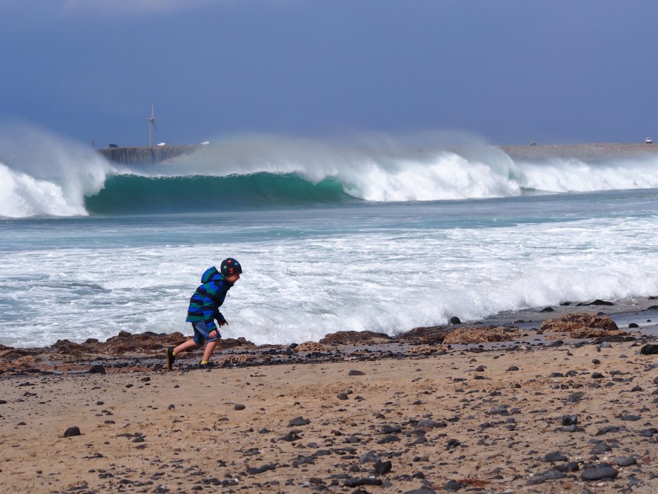 olas-giulia-parise (1)