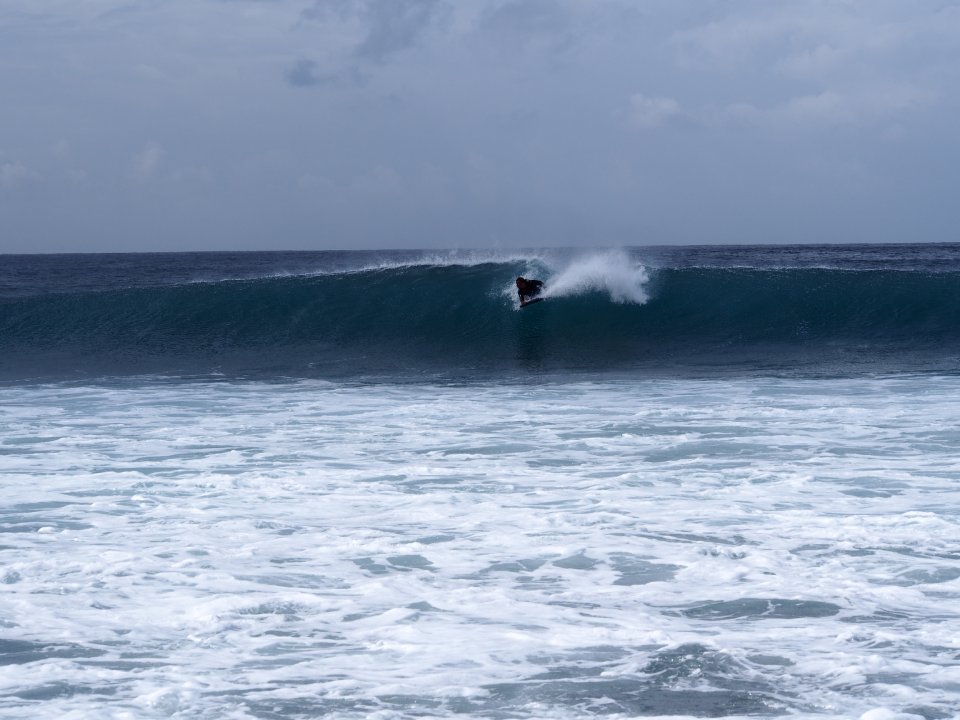 olas-giulia-parise (3)